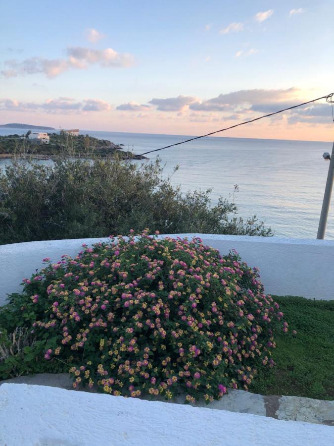 Residence Gerani Amoudara  Eksteriør bilde
